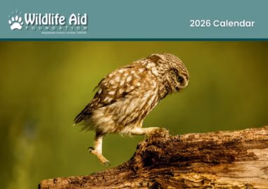 Wildlife Aid Calendar 2026