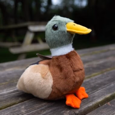 Plush Mallard Duck Cuddly Soft Toy