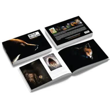 Wild Britain' by Lawrie Brailey