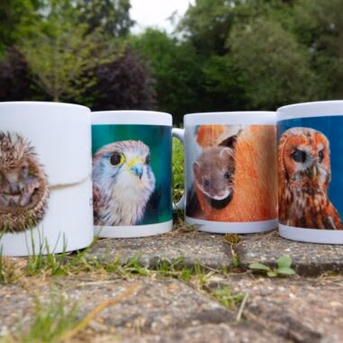 Wildlife Aid Mugs