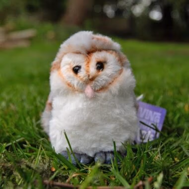 Living Nature Barn Owl