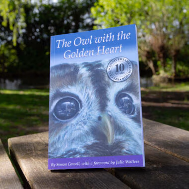 The Owl With The Golden Heart