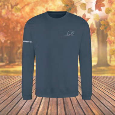 Hedgehog Wild Line-Art Unisex Sweatshirt