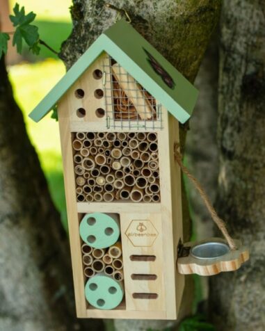 Air ' Bee'n'bee Insect House