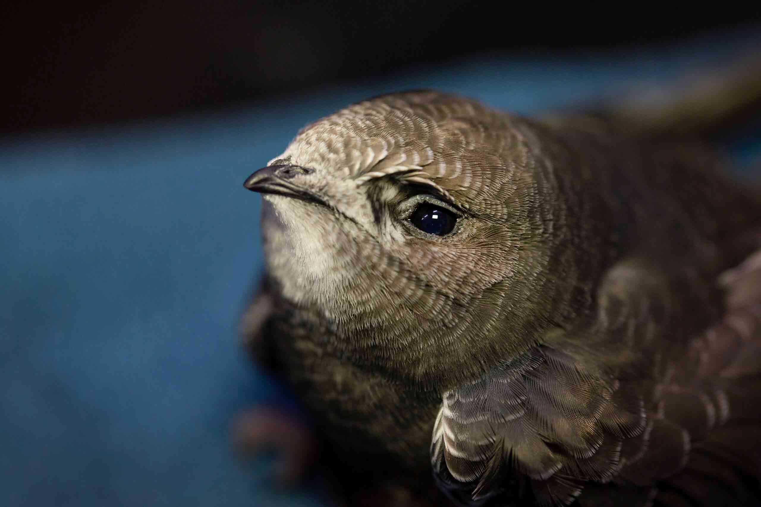 IMG_3277-copy-scaled