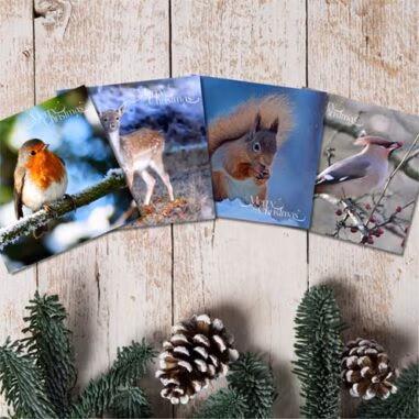 Wildlife Aid Christmas Cards