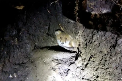 347137955_714015730725693_5300242755266078678_n (1)