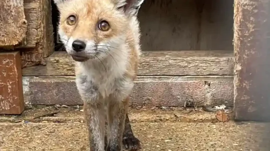 387762423_707356611434547_2571201804623666989_n