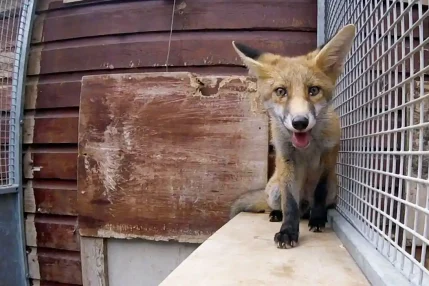 GP013785.MP4.02_08_38_24.Still001-copy_WEB