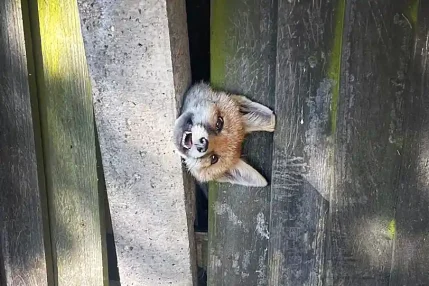 IMG-20230526-WA0002WEB2