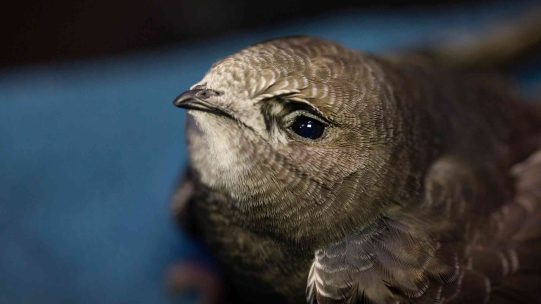 IMG_3277-copy-scaled