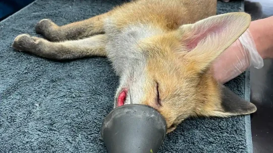 IMG_4991_WEB_2023-07-11-092316_gocj